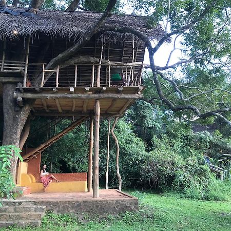Back Of Beyond - Wild Haven Villa Sigiriya Dış mekan fotoğraf
