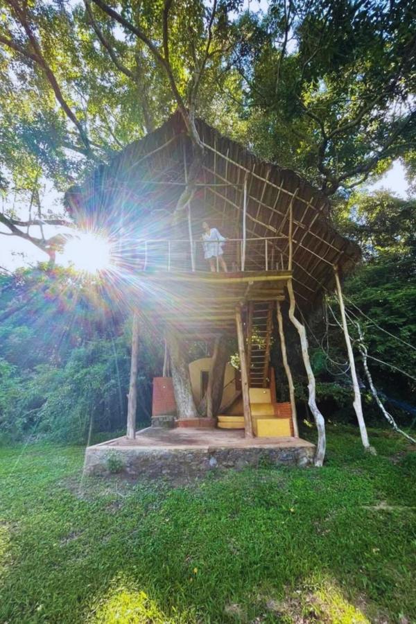 Back Of Beyond - Wild Haven Villa Sigiriya Dış mekan fotoğraf
