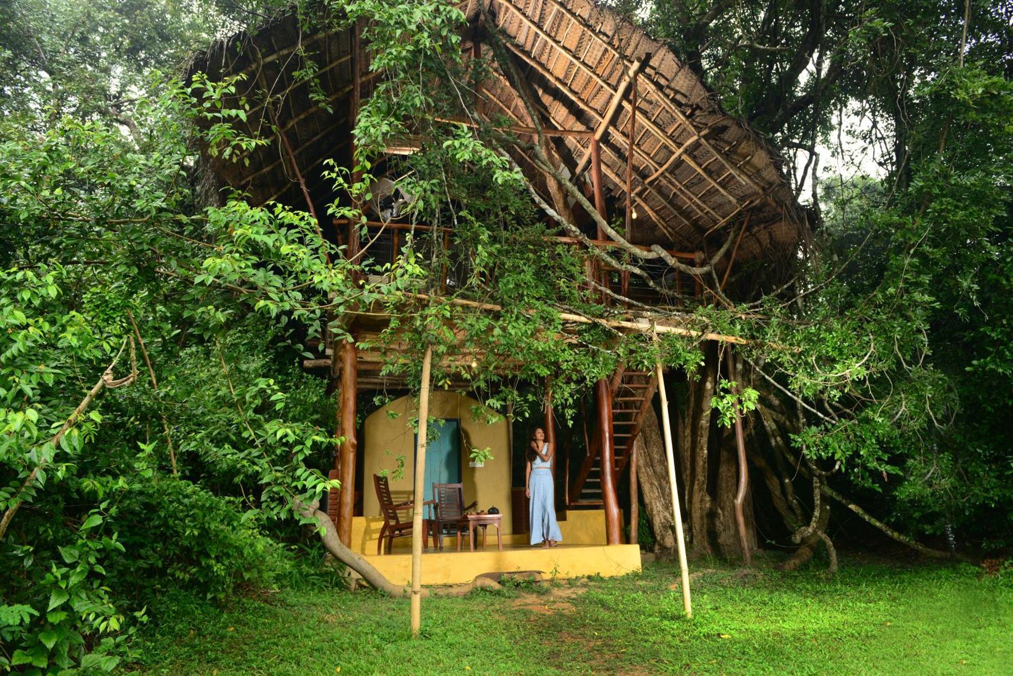 Back Of Beyond - Wild Haven Villa Sigiriya Dış mekan fotoğraf