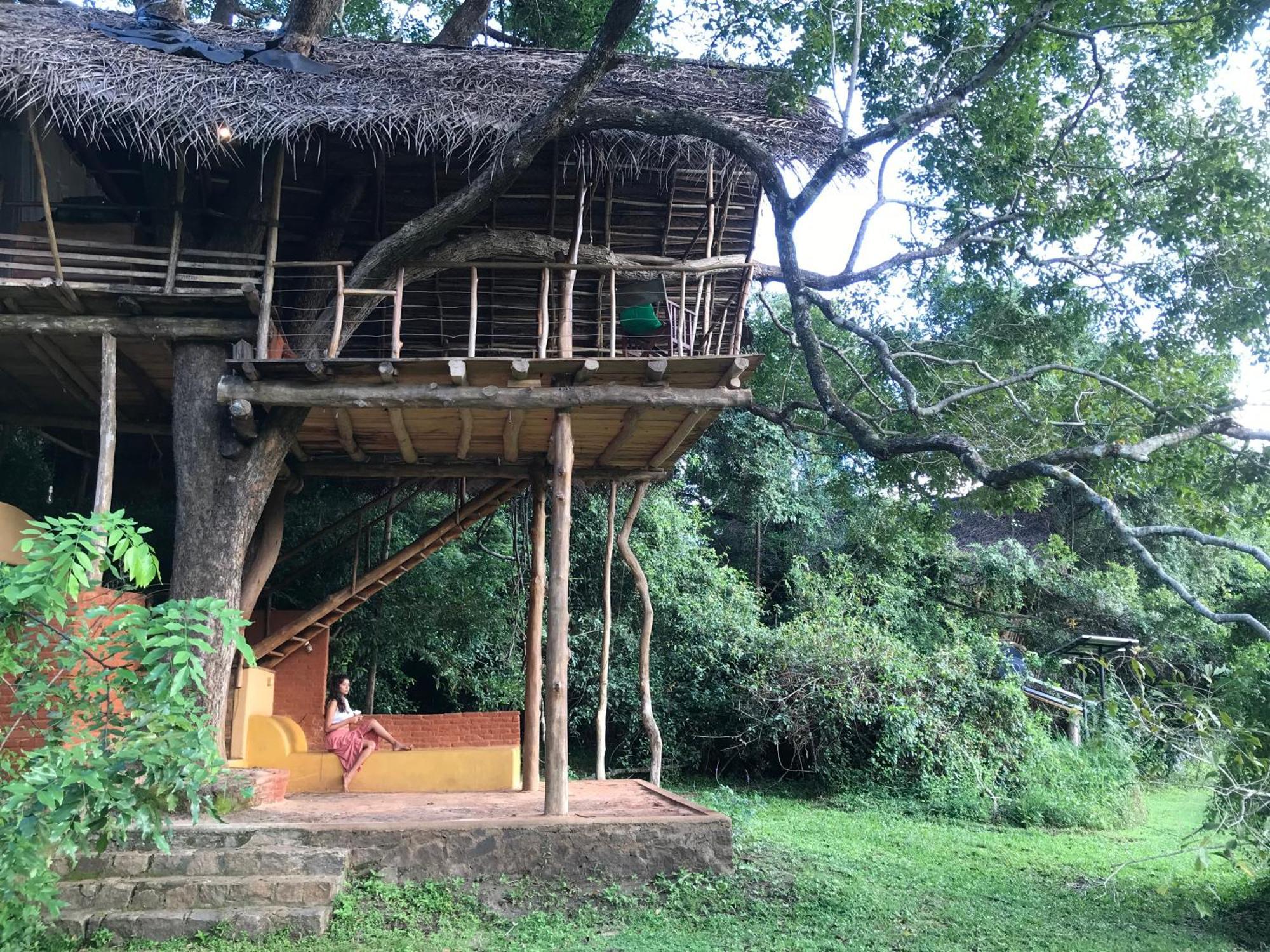 Back Of Beyond - Wild Haven Villa Sigiriya Dış mekan fotoğraf
