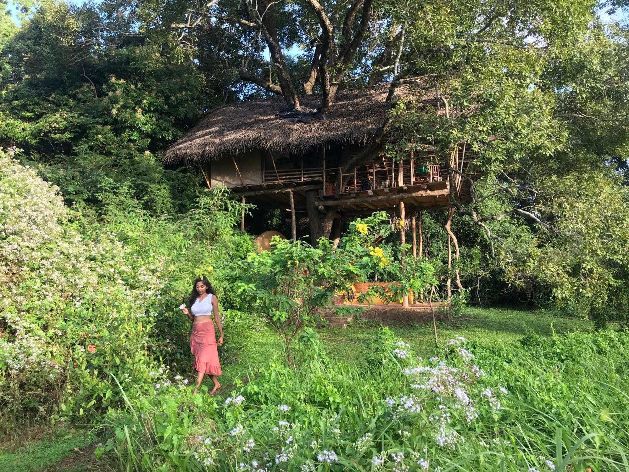 Back Of Beyond - Wild Haven Villa Sigiriya Dış mekan fotoğraf