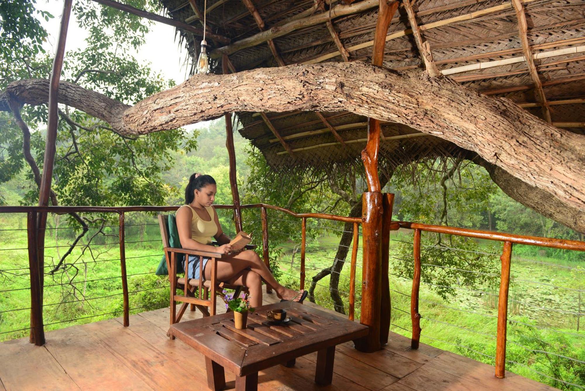 Back Of Beyond - Wild Haven Villa Sigiriya Dış mekan fotoğraf