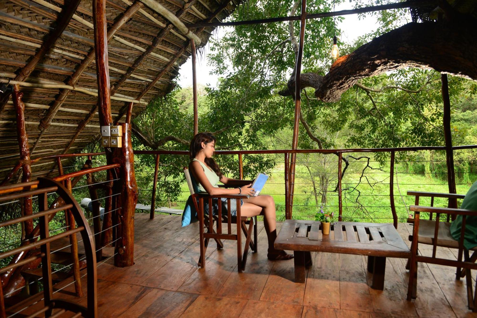 Back Of Beyond - Wild Haven Villa Sigiriya Dış mekan fotoğraf