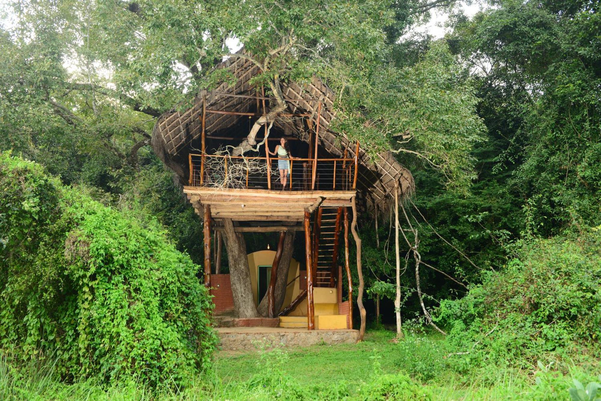 Back Of Beyond - Wild Haven Villa Sigiriya Dış mekan fotoğraf