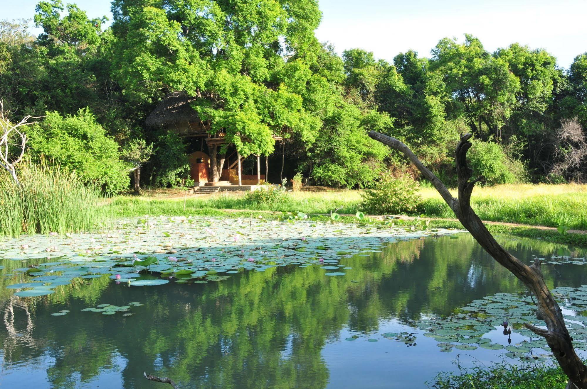 Back Of Beyond - Wild Haven Villa Sigiriya Dış mekan fotoğraf