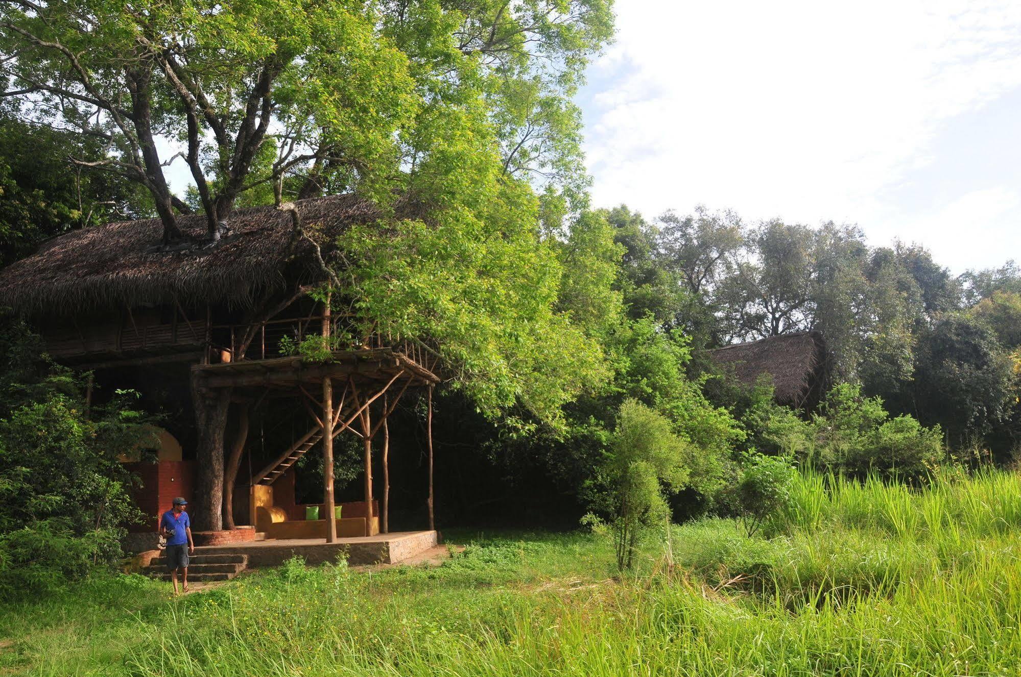 Back Of Beyond - Wild Haven Villa Sigiriya Dış mekan fotoğraf