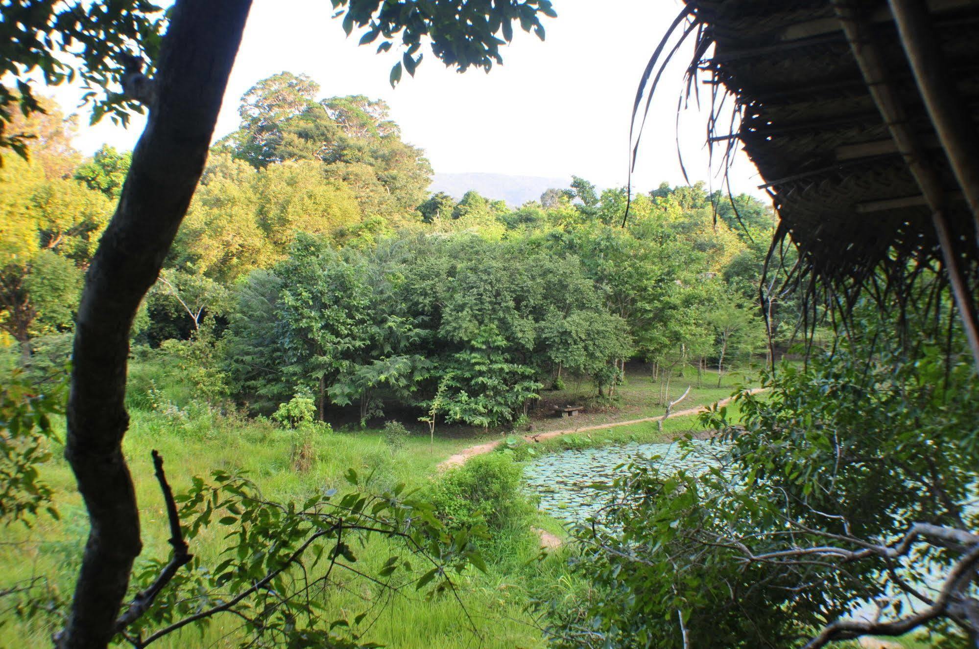 Back Of Beyond - Wild Haven Villa Sigiriya Dış mekan fotoğraf