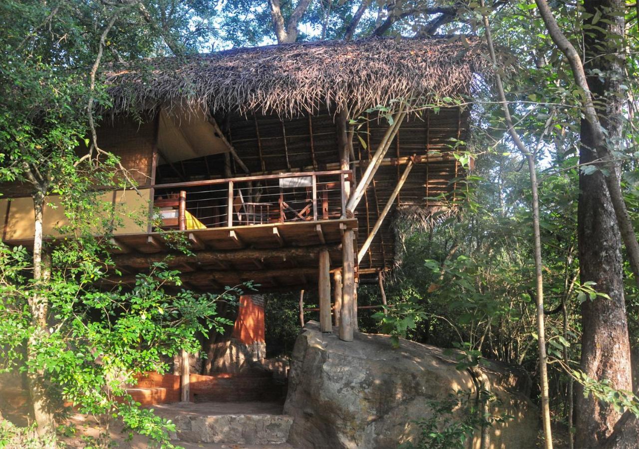 Back Of Beyond - Wild Haven Villa Sigiriya Dış mekan fotoğraf