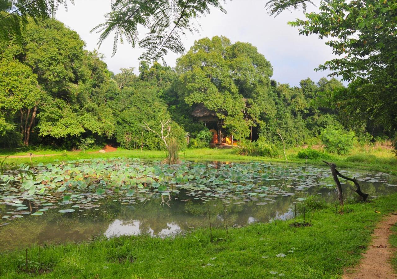 Back Of Beyond - Wild Haven Villa Sigiriya Dış mekan fotoğraf