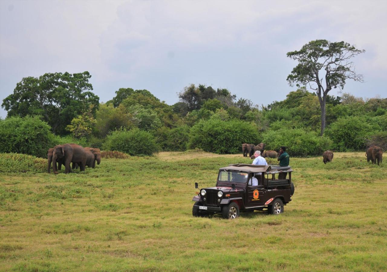Back Of Beyond - Wild Haven Villa Sigiriya Dış mekan fotoğraf