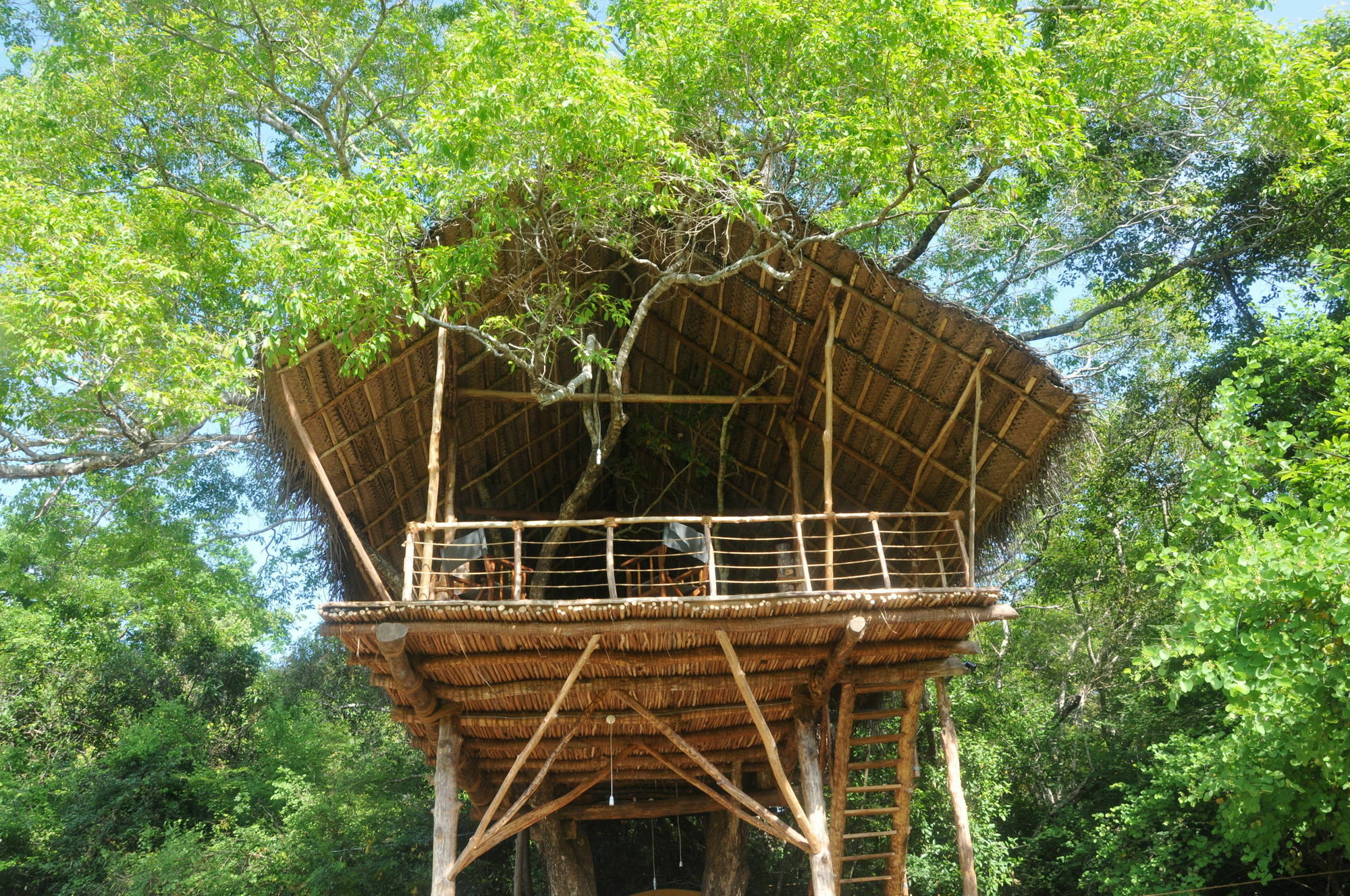 Back Of Beyond - Wild Haven Villa Sigiriya Dış mekan fotoğraf