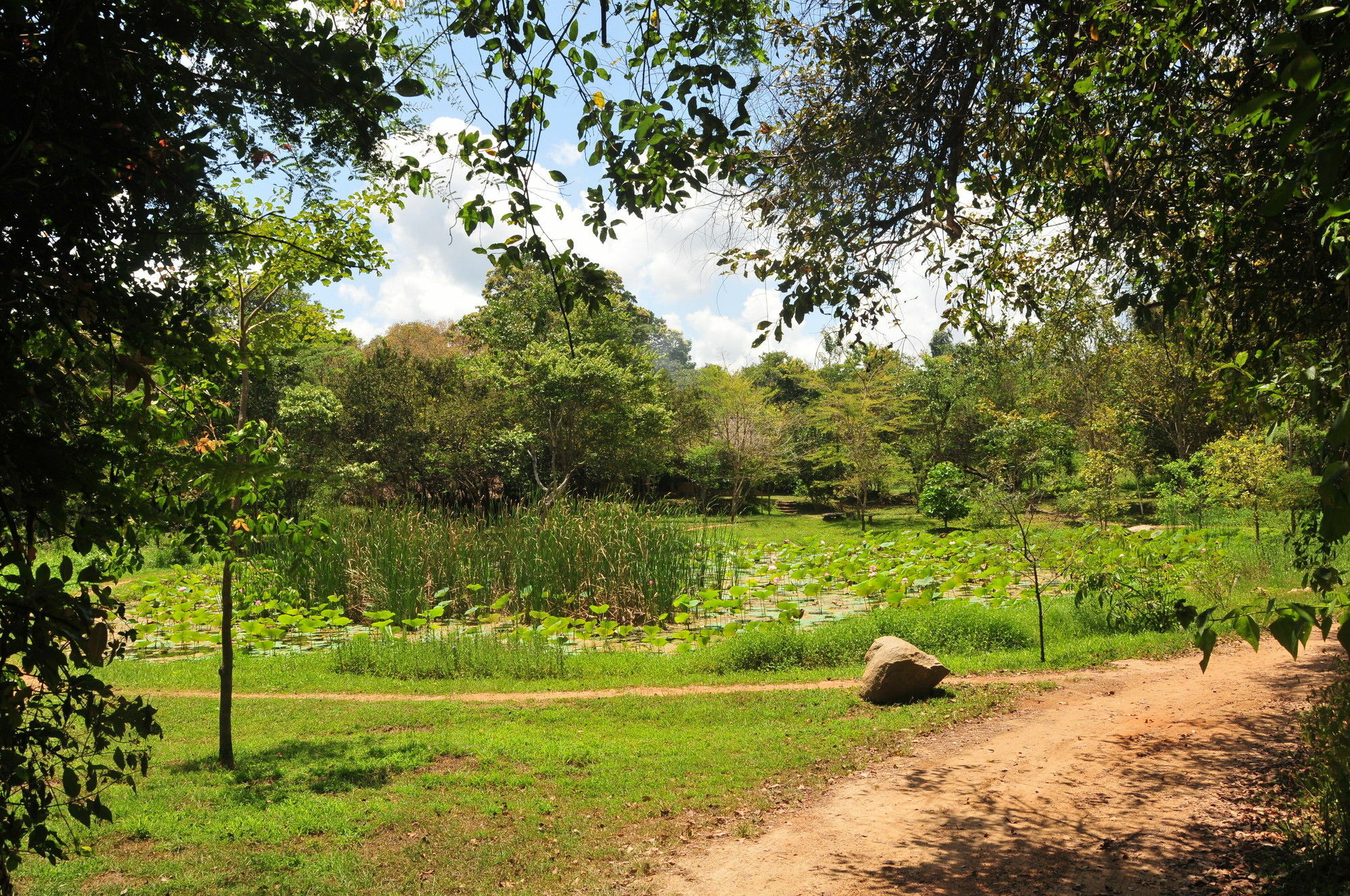 Back Of Beyond - Wild Haven Villa Sigiriya Dış mekan fotoğraf