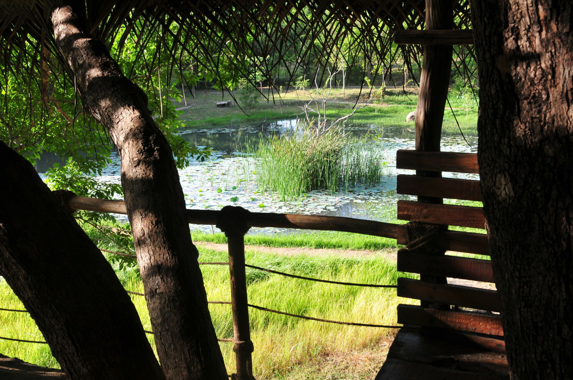 Back Of Beyond - Wild Haven Villa Sigiriya Dış mekan fotoğraf
